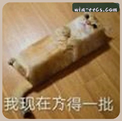 张婷